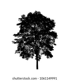 Tree Silhouette Brush Photoshop Stock Illustration 1051263575 ...