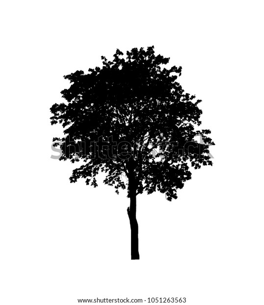 Tree Silhouette Brush Photoshop Stock Illustration