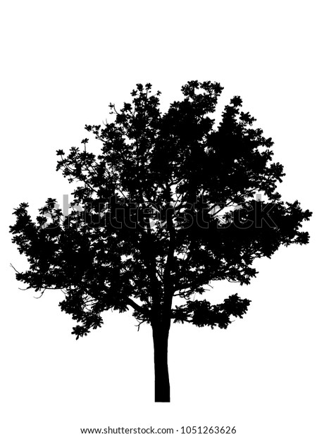 Tree Silhouette Brush Photoshop Stock Illustration 1051263626