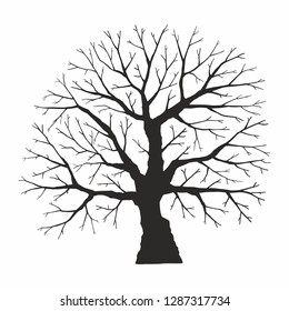 Vector Silhouette Tree Branches Cron Isolated Stock Vector (Royalty ...