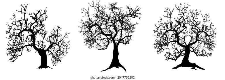 Tree Silhouette Set Isolated On Withe Stock Illustration 2047753202 ...