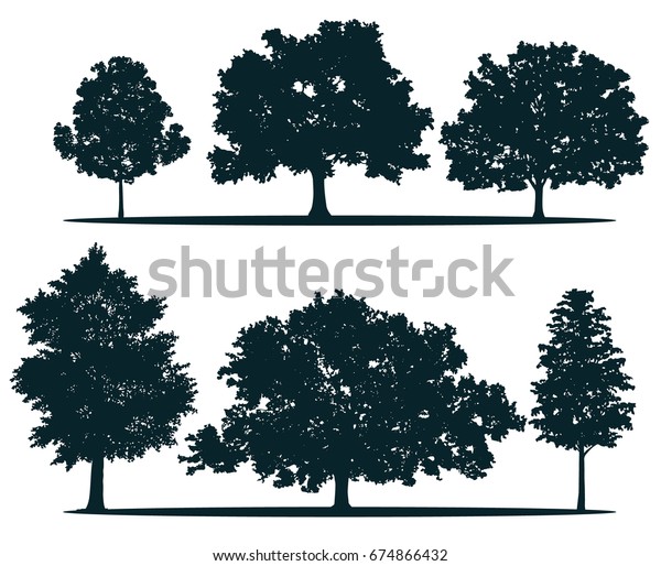 Tree Silhouettes Red Maple Sugar Maple Stock Illustration 674866432