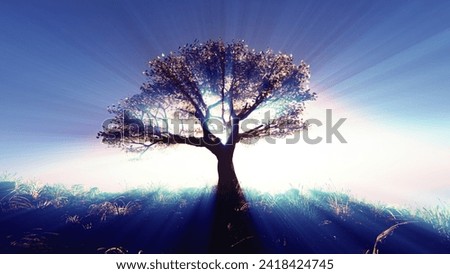 Similar – Light and shadow Tree