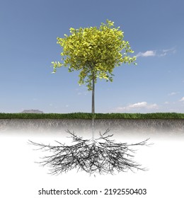 Tree With Strong And Deep Roots, 3d Render