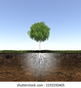 Tree With Strong And Deep Roots, 3d Render