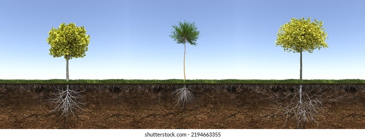 Tree With Strong And Deep Roots, 3d Render