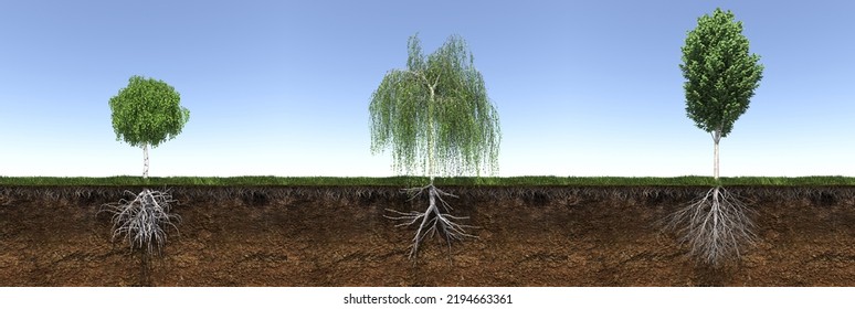 Tree With Strong And Deep Roots, 3d Render