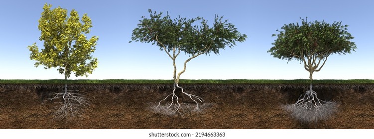 Tree With Strong And Deep Roots, 3d Render