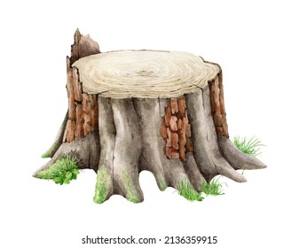 Tree Stump With Grass. Watercolor Realistic Illustration. Tree Cut Trunk With Green Moss And Grass. Realistic Wood Stump With Bark, Green Lichen, Plants. White Background