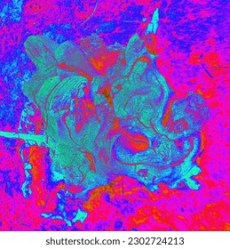 Tree Stump in Technicolour Art
