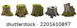 tree stumps, collection of old and overgrown stubs, isolated on white background, 3d illustration