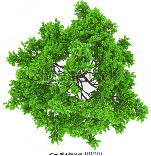 Tree Top View 100mpix Stock Illustration 136694282