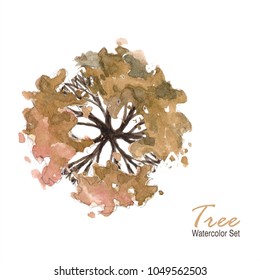 Tree Top View Above Tree Watercolor Autumn Brown Set Isolated On White Background ; Element Architecture Painting Hand Drawn Illustration Watercolour Tree Plan.