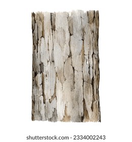 Tree trunk with bark element. Watercolor painted illustration. Hand drawn realistic detailed wooden plant part with bark. Natural tree element with bark. Timber isolated on white background