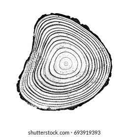 Tree Trunk Print