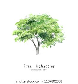 tree watercolor set nature garden painting landscape architecture element isolated on white background ; art hand drawn green trees illustration brush sketch design watercolour .