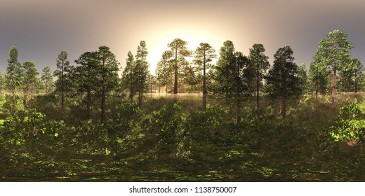 Trees In The Fog. Environment Map. HDRI Map. Equidistant Projection. Spherical Panorama. Landscape
3D Rendering