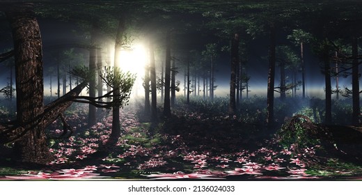 Trees In The Fog. Environment Map. HDRI Map. Equidistant Projection. Spherical Panorama. Landscape
3D Rendering