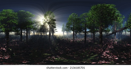 Trees In The Fog. Environment Map. HDRI Map. Equidistant Projection. Spherical Panorama. Landscape,
3D Rendering