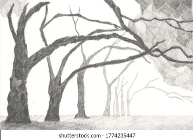 Nature Pencil Sketch High Res Stock Images Shutterstock