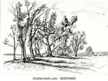 Trees On Meadow Sketch Stock Illustration 303594683 | Shutterstock