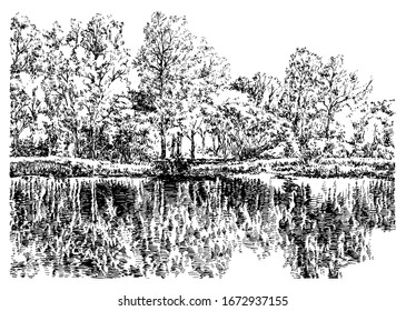 22,309 Tree Etching Images, Stock Photos & Vectors 