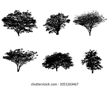 Trees Silhouette For Brush In Photoshop.