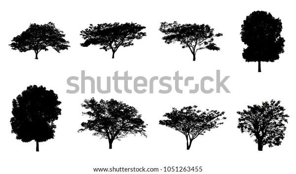 Trees Silhouette Brush Photoshop Stock Illustration