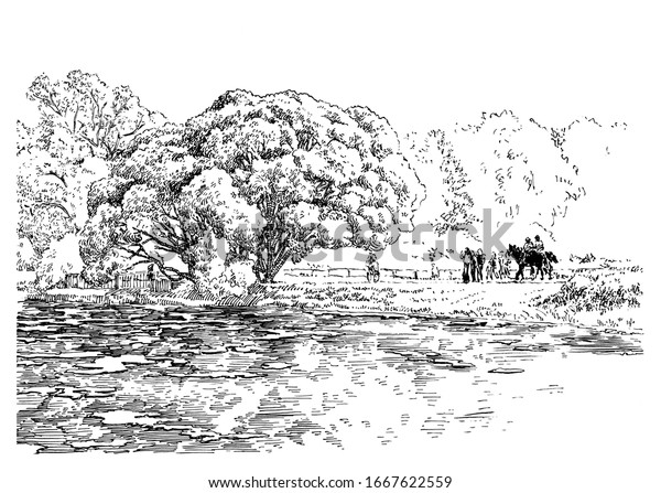 Trees Water Garden Black White Hand Stock Illustration 1667622559