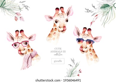 A trendy poster with a giraffe. Watercolor cartoon giraffe savanna animal illustration. Jungle savannah tropical exotic summer print.