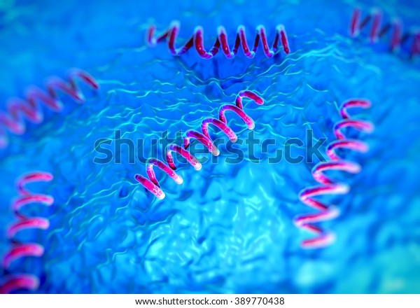 Treponema Pallidum Bacteria Stock Illustration 389770438