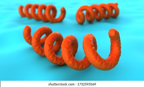 Treponema Pallidum. Bacterium Which Causes Syphilis, Close-up View Under A Microscope. 3D-rendering.