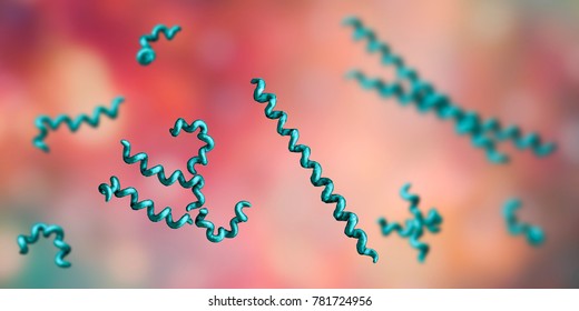 Treponema Pallidum, Spirochetes Bacteria That Cause Syphilis, 3D Illustration