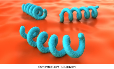 Treponema Pallidum Under A Microscope. Bacterium Which Causes Syphilis, Close-up View. 3D-rendering.