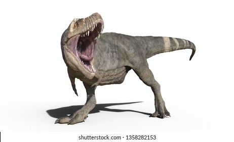 3d Allosaurus Render On White Background Stock Illustration 1203428386 ...