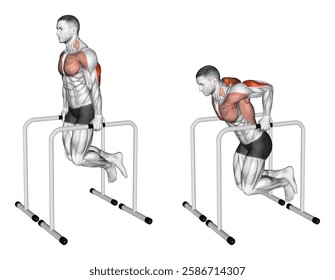 Triceps Dip on High Parallel Bars (male). Upper Arms exercise. Workout illustration training guide