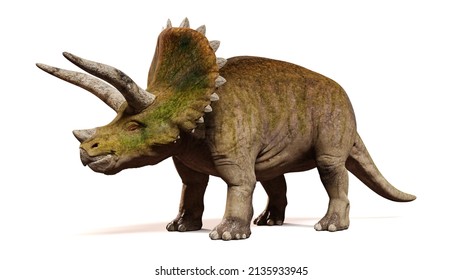 710 Dinosaur front view Images, Stock Photos & Vectors | Shutterstock