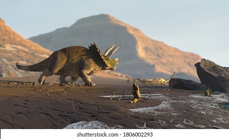 Triceratops Horridus, Dinosaur On The Beach (3d Paleoart Rendering)