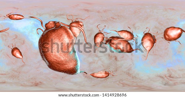 Trichomonas Vaginalis Protozoan 360degree Spherical Panorama Stock Illustration 1414928696 3053