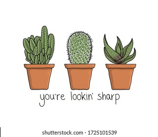 A Trio Of Cacti- Cactus Illustration With Pun Quote