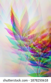 Trippy Cannabis Leaf. A Psychedelic Marijuana Cannabis Leaf. Cannabis Containing Thc And Cbd. Effects Of Drugs On The Human Brain. 