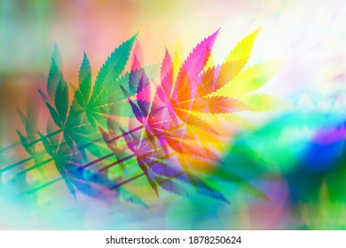Trippy cannabis leaf. A psychedelic marijuana cannabis leaf. Cannabis containing thc and cbd. Effects of drugs on the human brain. 