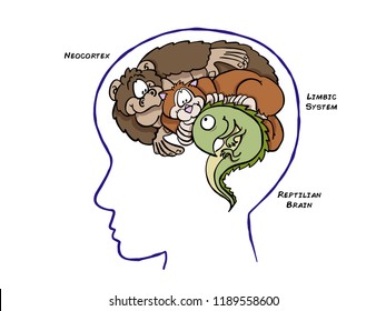 Triune Theory Brain Inspired On Darwinian Stock Illustration 1189558600 ...