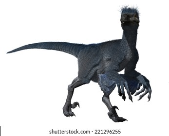 Troodon