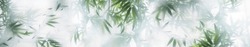 Tropic Leaves Under Glass In The Fog. Horizontal Banner. Panoramic View For Web. Skinali