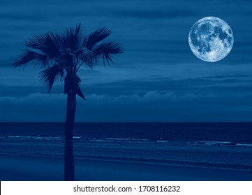 Beach Night Moon Images Stock Photos Vectors Shutterstock