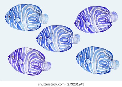 Tropical Blue Semicircle  Angel Fish Watercolor Pattern Painting On Blue Background