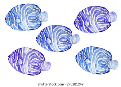 Tropical Blue Semicircle  Angel Fish Watercolor Pattern Painting On White Background