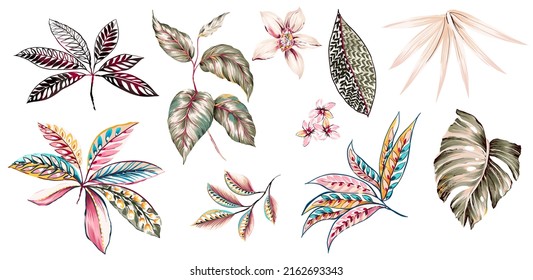 Tropical Ethnic Vintage Leaves And Orchids Flowers Set Of Isolated Elements. Folkloric Abstract Tribal Colorful Leaf. White Floral Elements. Palm Leafs, Monstera, Branches, Plants.