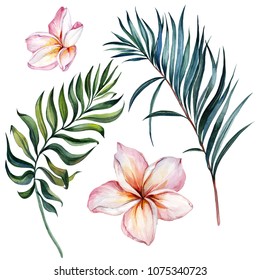 Conjunto floral tropical exótico